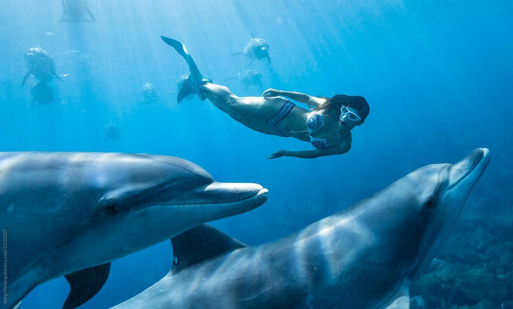 Swim with Dolphins one day excursion Zanzibar (Full Day)