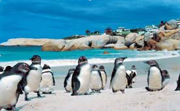 8 Days Road Holiday South Africa Route 62 | Southern Africa tours